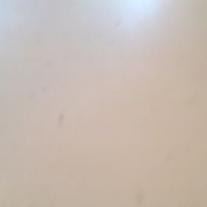 Meet your Posher, Hailey